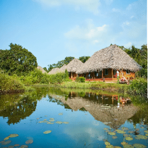 Ayurveda & Wellness Retreats