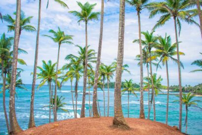 Mirissa